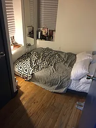 Rented by Bold New York