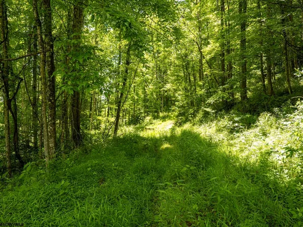 LOT 18 Lake Island Dr, Belington, WV 26250