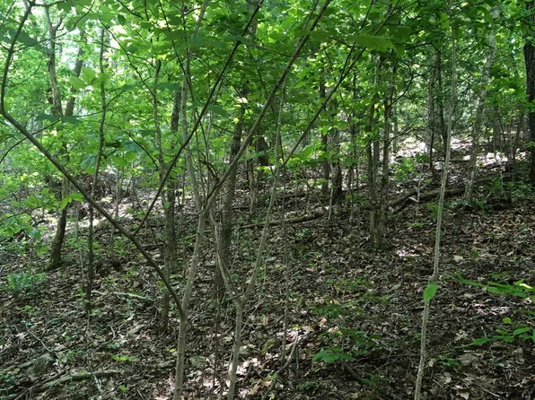 38 Mountain Valley Ct, Blairsville, GA 30512