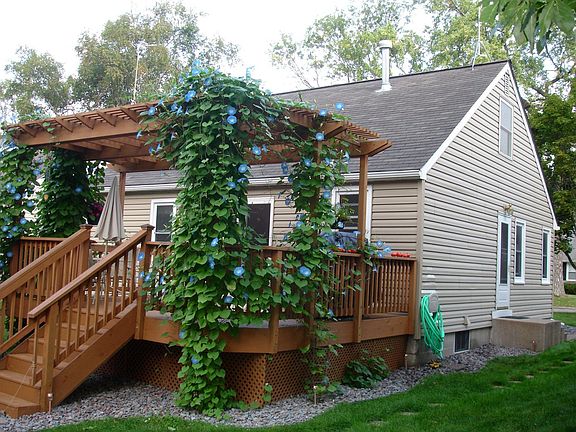 Private / Quiet backyard