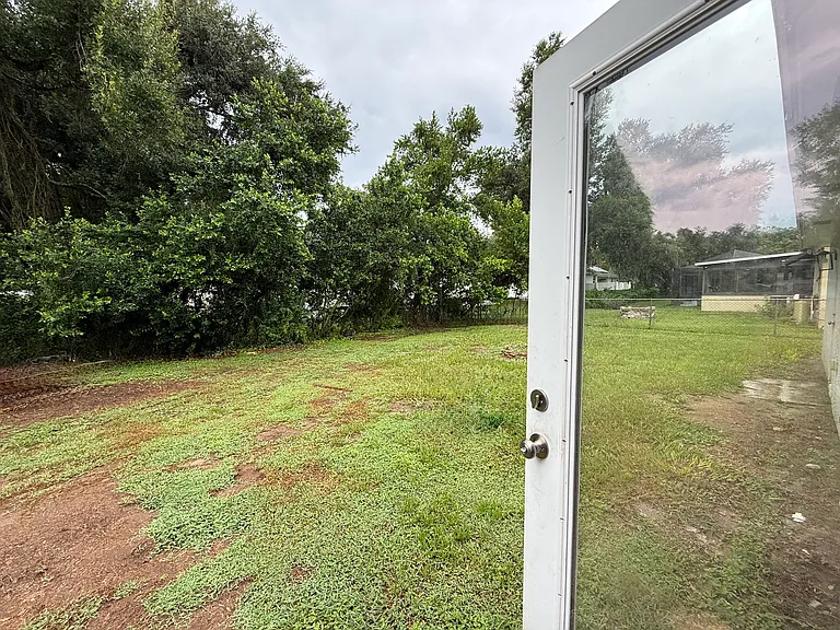 backyard