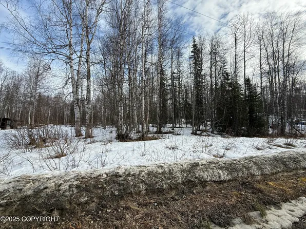 12913 N Pettis Dr, Willow, AK 99688