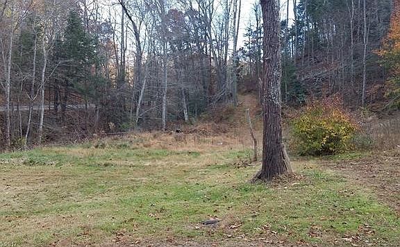 4th image of 35 Wood Duck Ln