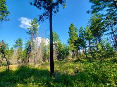189 Whiterock Road, Okanogan, WA, 98840