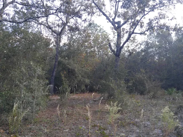 6347 Baylor Ave, Keystone Heights, FL 32656