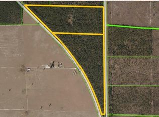 0 S County Road 53, Lee, FL 32059