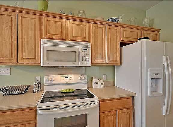 3rd image of 125 Caryota Ln
