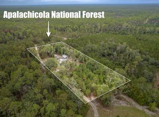 19599 NE Godwin Ln, Hosford, FL 32334