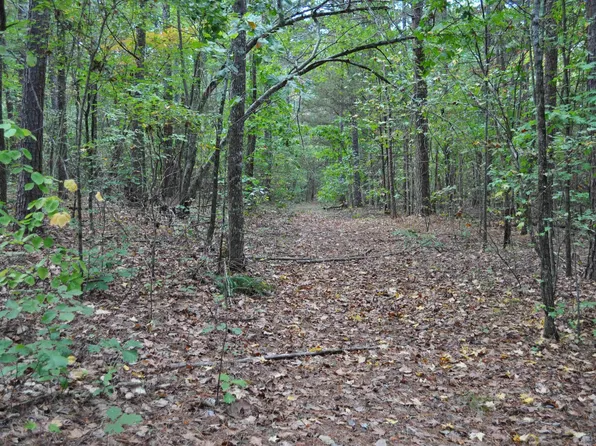 0 Skip Ln, Bee Branch, AR 72013
