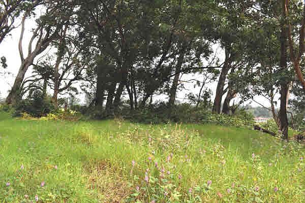 1st image of Hohola Dr Lot 3