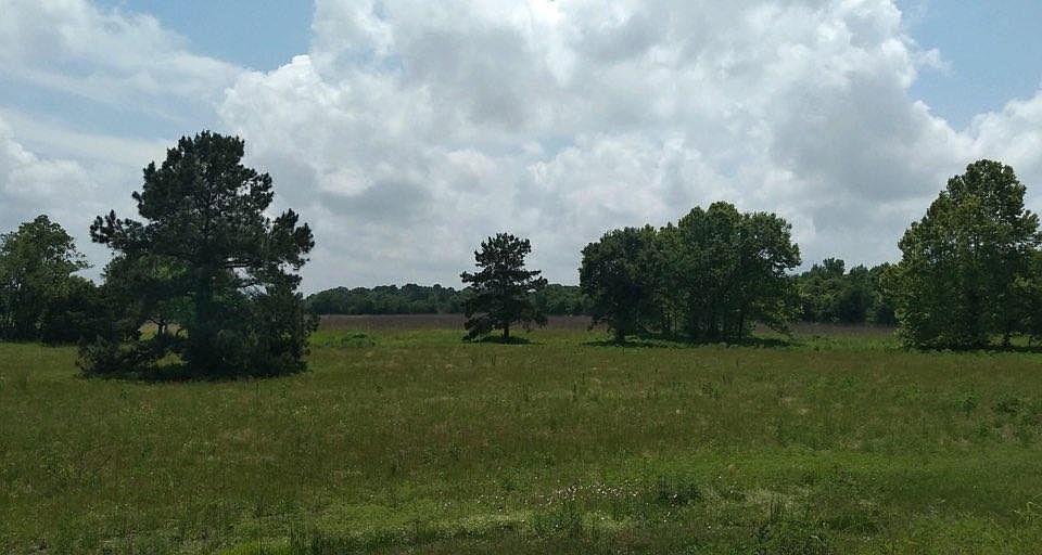1st image of 483 County Road 6111
