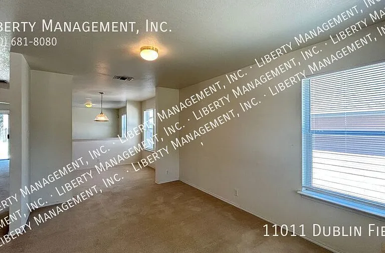 11011 Dublin Fld — Photo 4