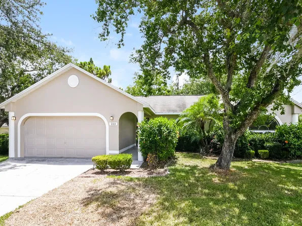 223 Bent Oak Loop, Davenport, FL 33837