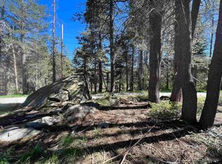 50486 Conifer Dr, Soda Springs, CA 95728