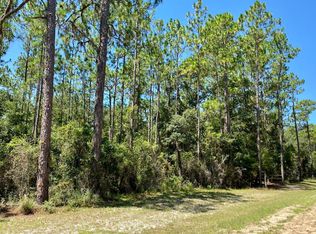 49&50 NE Blackjack Loop, Lee, FL 32059