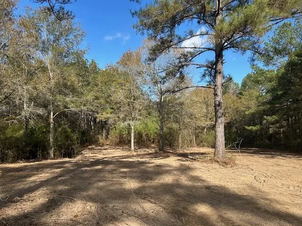 0 Highway 570 St, Summit, MS 39666