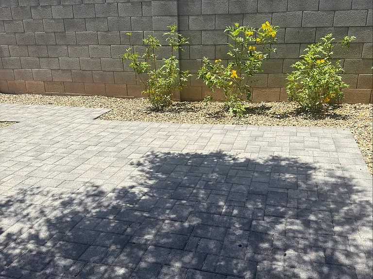 4019 E Desert Cactus St — Photo 12