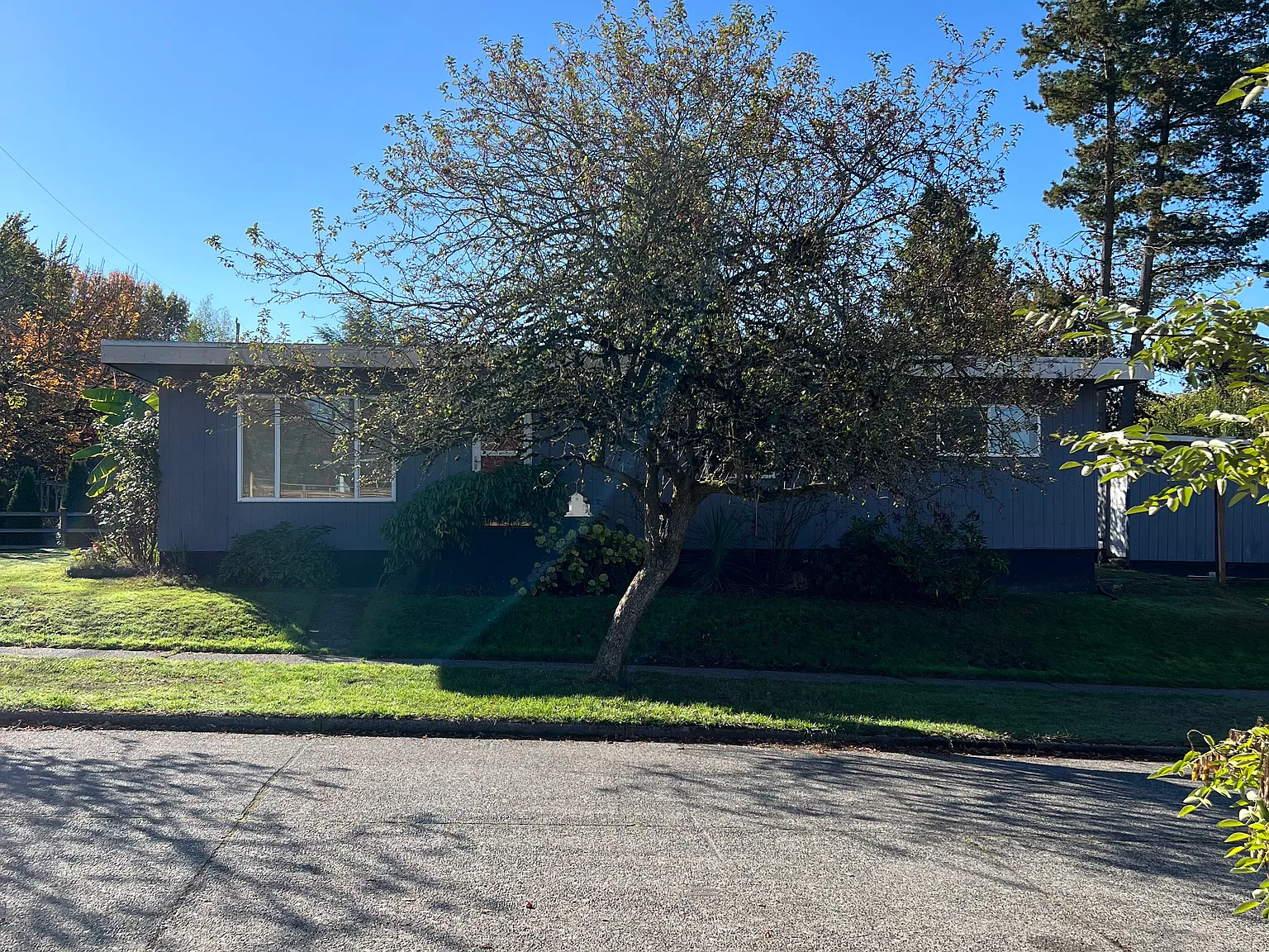 3 bed, 920 sqft, $3,000 — Photo 1