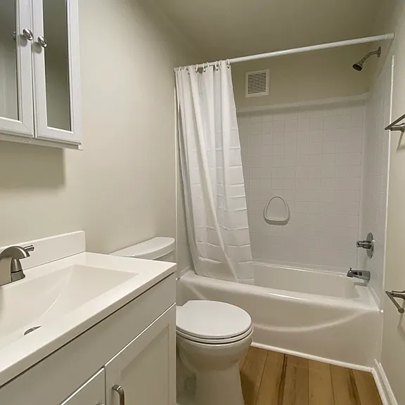 Updated Hall Bath