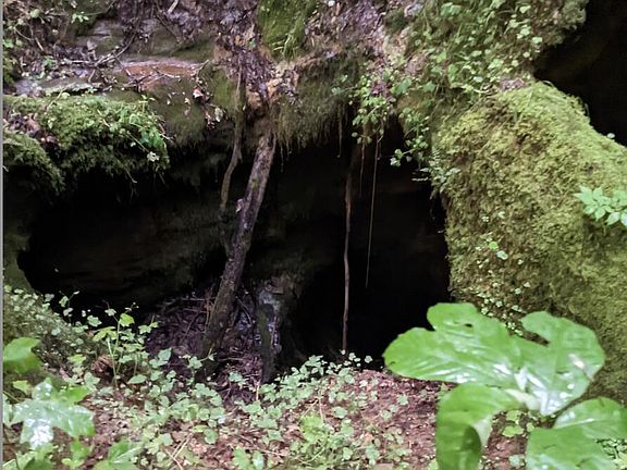 57th image of this home