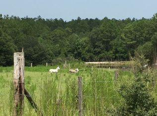 Xxx Hannah Branch Rd, Mossy Head, FL 32434