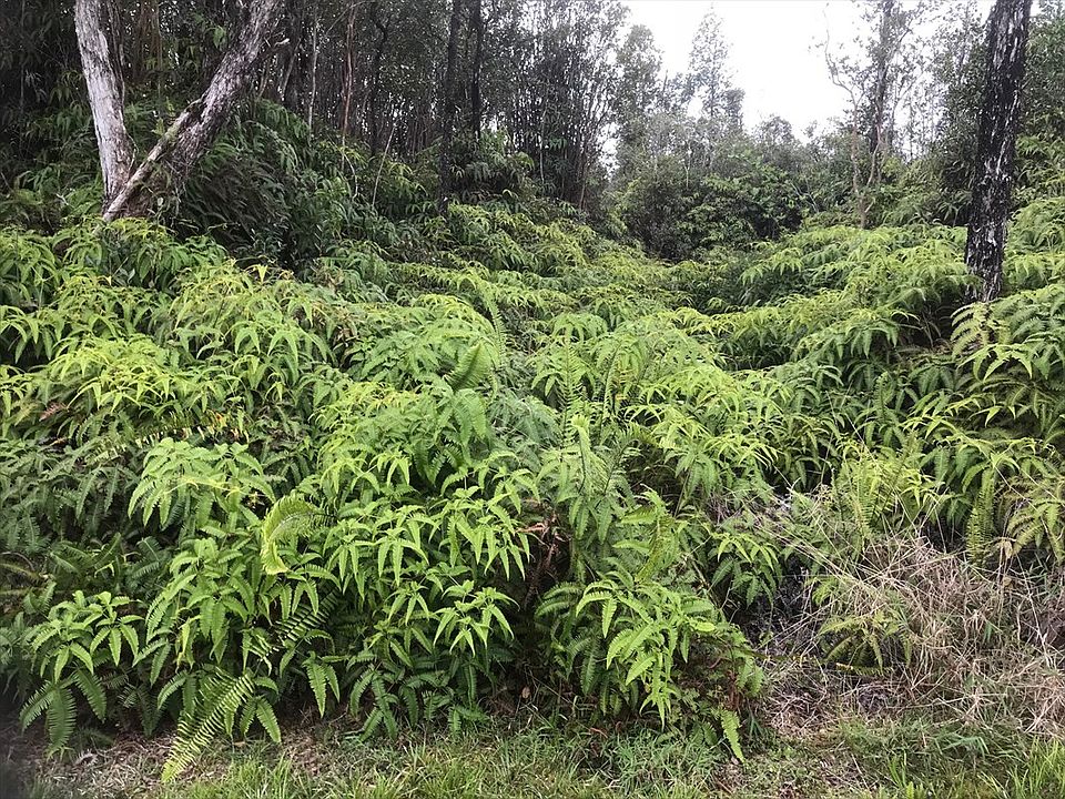 1st image of 11-3169 Plumeria St Lot 6606