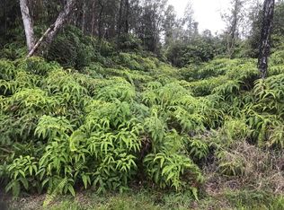 11-3169 Plumeria St LOT 6606, Mountain View, HI 96771