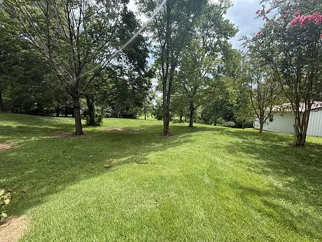 Romana Dr, Ridgeway — Photo 3