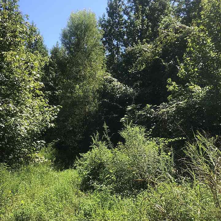 1st image of Quail Hollow Dr