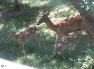 0 Whitetail Ln #12, Louisburg, NC 27549