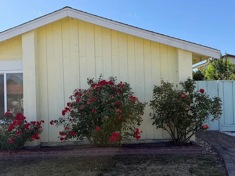 33765 Shallow Ct — Photo 16