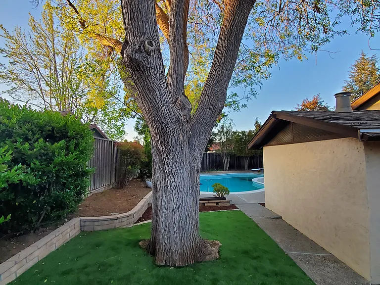 1157 Tilton Dr — Photo 25