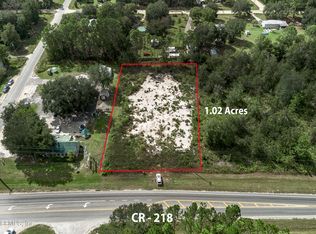 4493 COUNTY ROAD 218, Middleburg, FL 32068