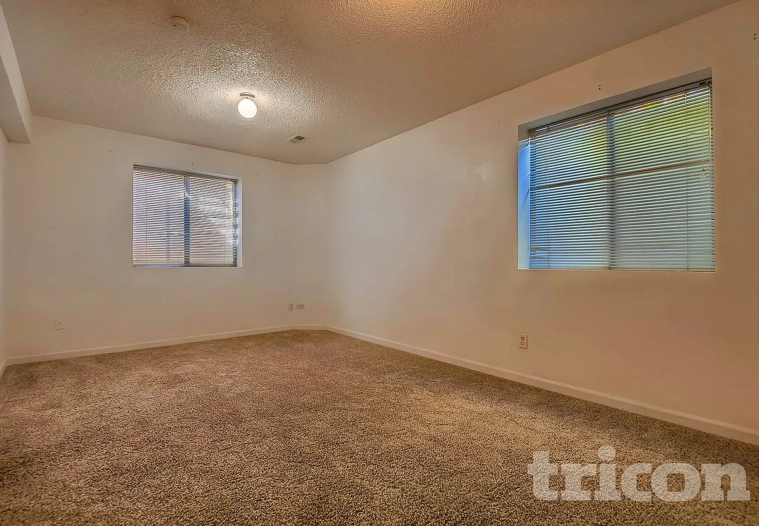 8381 White Cloud St Highlands Ranch CO — Photo 4