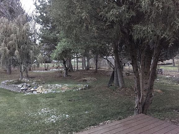 The rest of backyard.