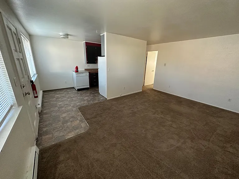 202 E 15th Ave #6 — Photo 3