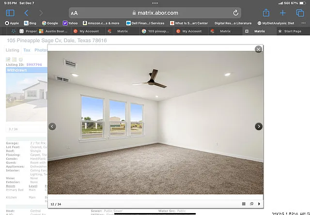 105 Pineapple Sage Cv — Photo 13