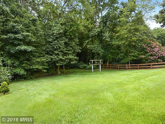 Verdant Yard with Lofty Shade Tree Privacy Fence