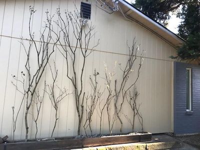 110-112 NE Beech St, Portland, OR, 97212