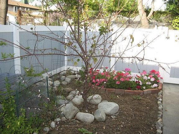 Personal Garden Area