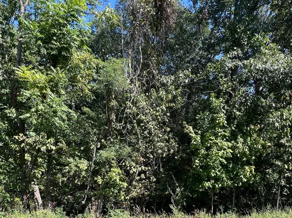 125 Mill Spgs, Coatesville, IN 46121