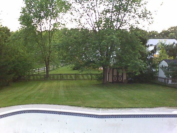 Springtime Back