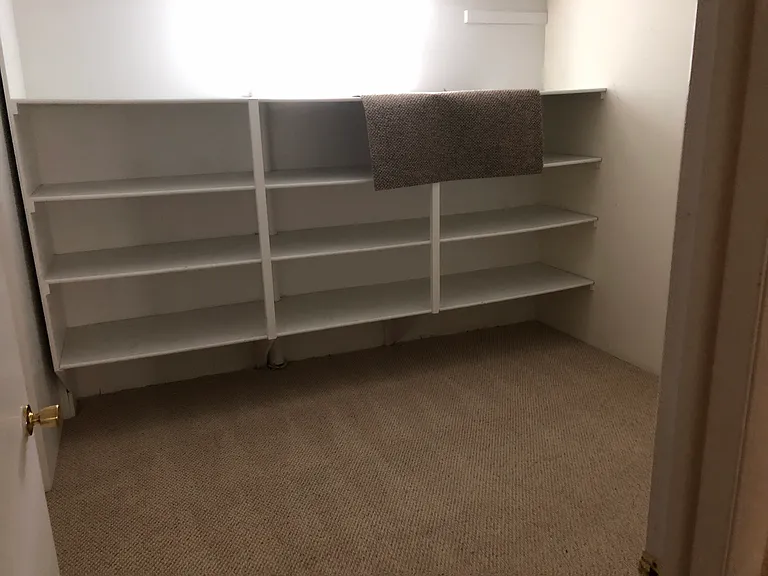 basement walk-in closet