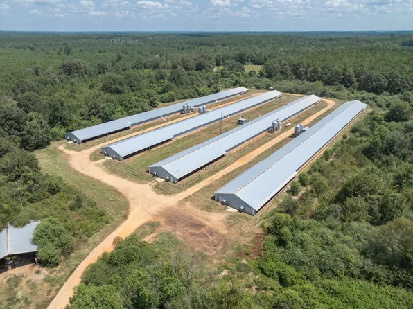 111 Alex Daley Rd, Carson, MS 39427