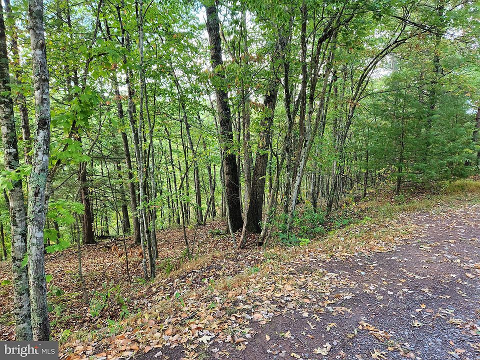 2nd image of 445 Chestnut Ridge Rd