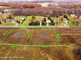 12280 S Wacousta Rd, Eagle, MI 48822