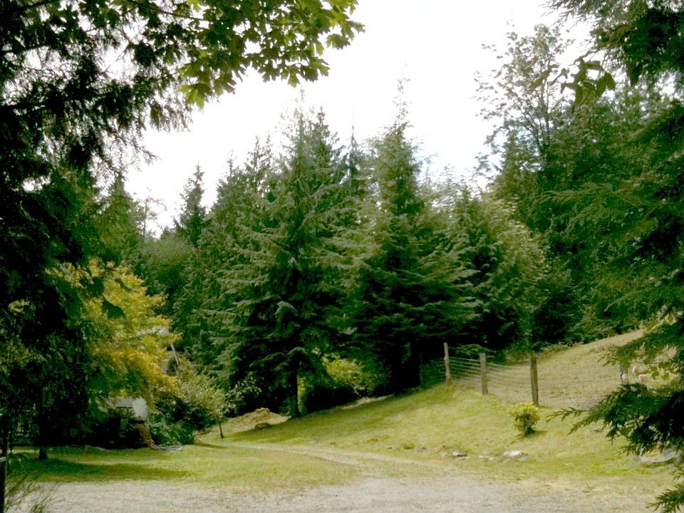 pasture