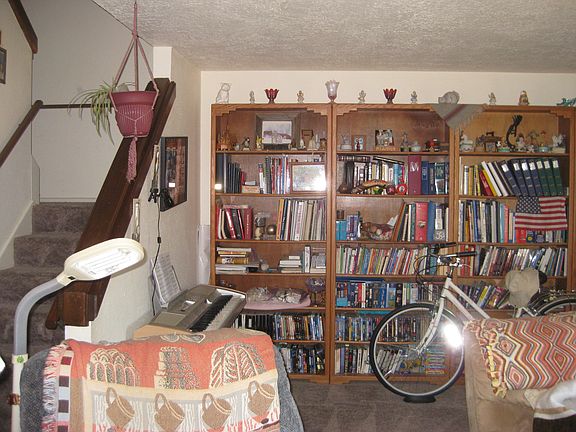 Stairs and bookshelves 