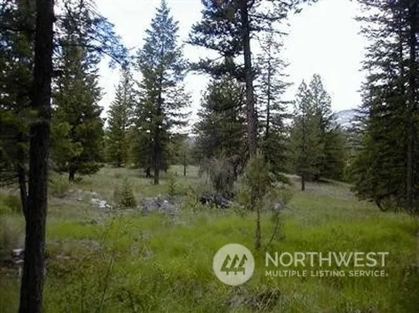 53 x Aeneas Valley Road, Tonasket, WA 98855