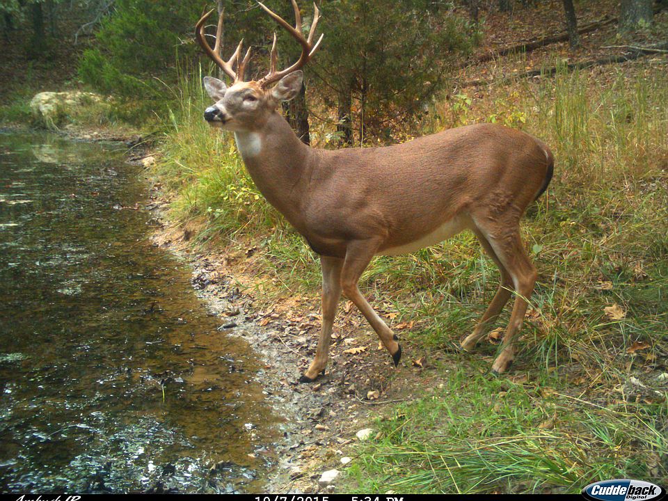 1st image of Hwy M